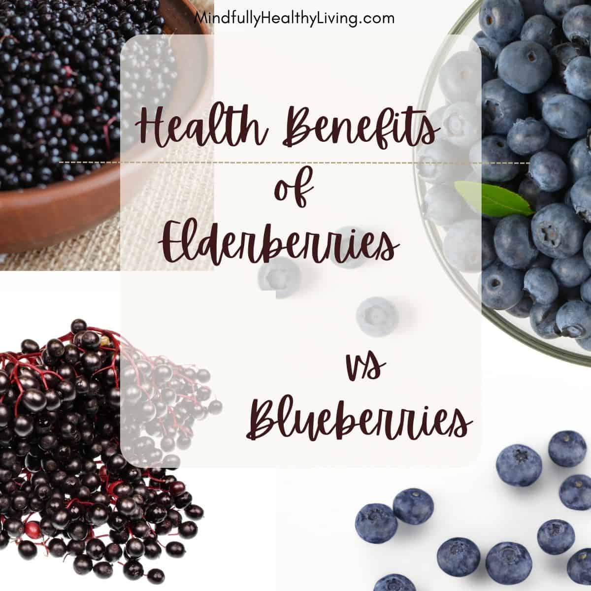 A photo with a white background and blueberries in two of the corners and black elderberries in the other two corners with a rounded white transparent square in the middle and text overlay that says "Mindfullyhealthyliving.com health benefits of elderberries vs blueberries.
