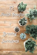 A pinterest optimized photo of A light wood table with a bird eye view of various small succulent plants. In a text overlay there is write cursive text with a black splice shadow that says 25 health benefits of growing succulents mindfullyhealthyliving.com