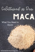 A grey background with a cursive white and black pint that says gelatinized vs raw. under it in all white caps says MACA. Under that reads All you need to know and at the bottom says mindfullyhealthyliving.com. In the middle is a pile of tan maca root powder in a pile.