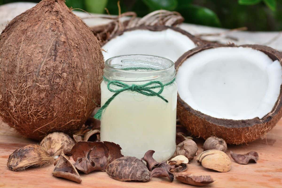 A photo of a whole coconut and a cracked open coconut surrounding a glass jar of coconut oil with a green string tied into a bow around it.