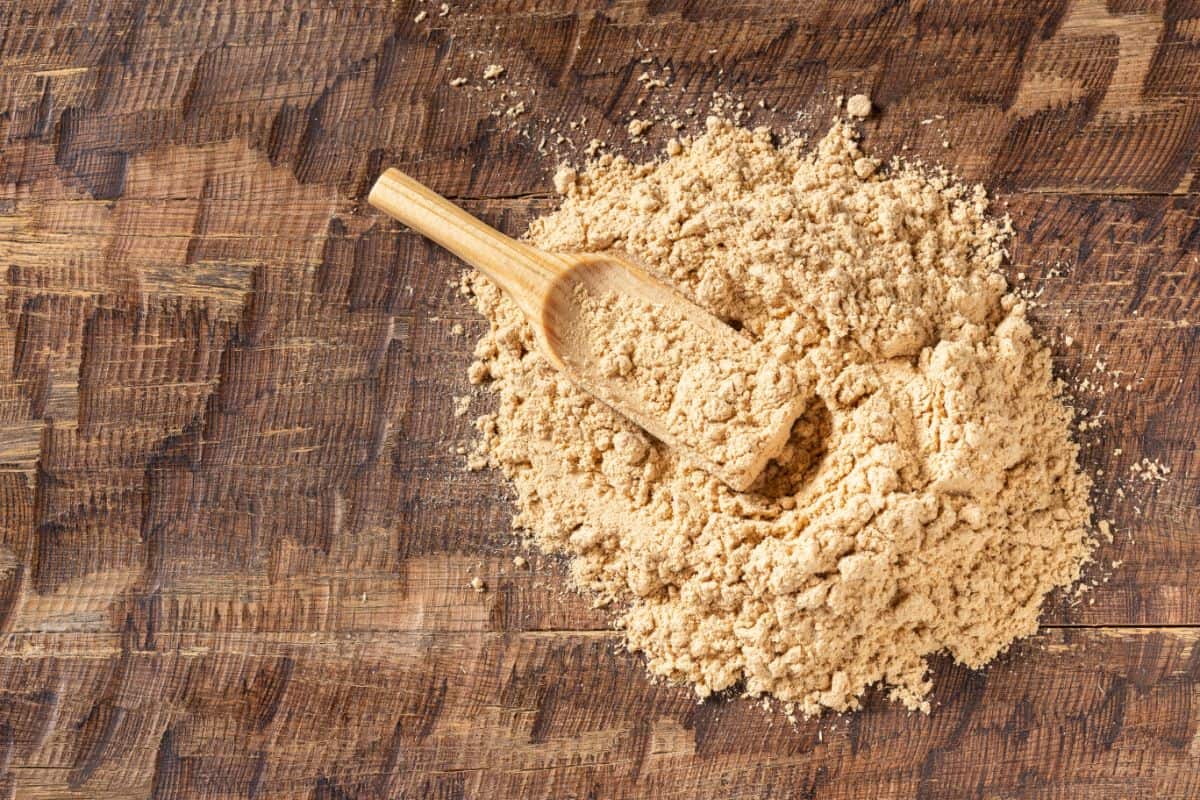 a pile of tan yellow gelatinized maca root powder with a light wooden scoop in it on a dark wooden background.