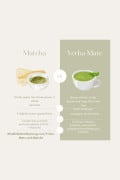 an infographic with two columns in tan and cream colors alternative text and background color cut in half. left side says matcha with a picture of a white matcha tea bowl with green matcha in it, and a matcha whisk next to it. Under it says "grinds tea leaves grown in shade" under that reads "japanese" a line under that and below reads "a slightly sweet, grassy flavor" with a line under it then below says "contains key nutrients and antioxidants EGCS + l-theanine." On the right side says "Yerba Mate" with a picture of a white cup with green colored tea in it and a green leaf in it. below reads "brews infusion of tea leaves and twigs from holly tree" with a line below it and under that reads "south American, a pungent, earthy flavor" a line below that and beneath it reads contains vitamins, minerals, antioxidants, polyphenols xanthines and saponins""