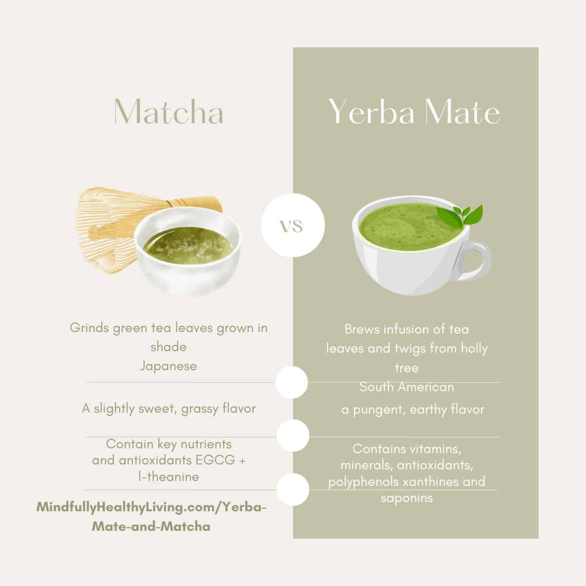 an infographic with two columns in tan and cream colors alternative text and background color cut in half. left side says matcha with a picture of a white matcha tea bowl with green matcha in it, and a matcha whisk next to it. Under it says "grinds tea leaves grown in shade" under that reads "japanese" a line under that and below reads "a slightly sweet, grassy flavor" with a line under it then below says "contains key nutrients and antioxidants EGCS + l-theanine." On the right side says "Yerba Mate" with a picture of a white cup with green colored tea in it and a green leaf in it. below reads "brews infusion of tea leaves and twigs from holly tree" with a line below it and under that reads "south American, a pungent, earthy flavor" a line below that and beneath it reads contains vitamins, minerals, antioxidants, polyphenols xanthines and saponins""