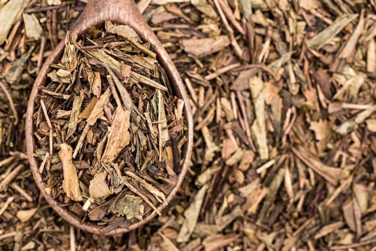 A close up of dried leaves, twigs, and stems from the green tea plant with a wooden spoon scooping it out.