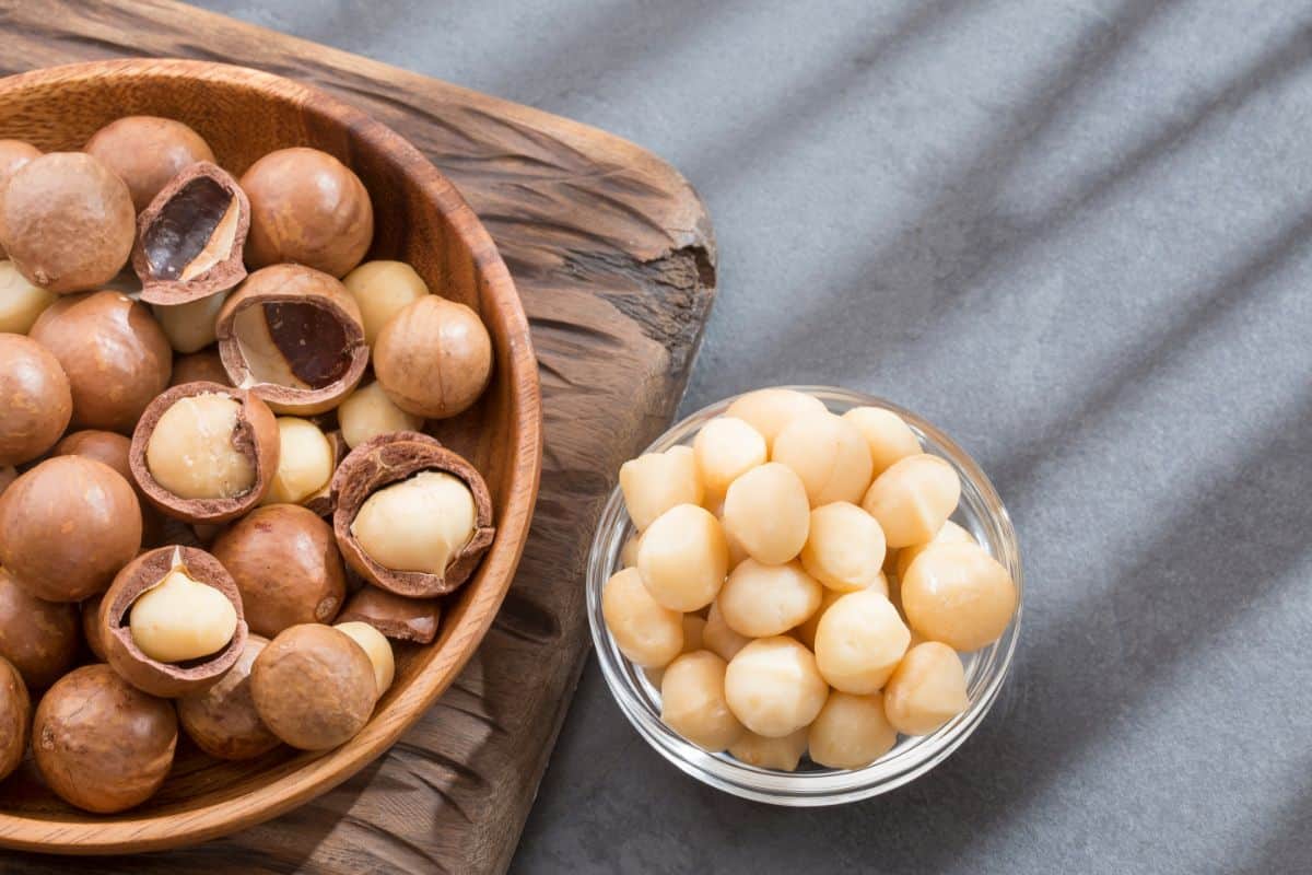 a half photo of a brown wooden bowl with whole macadamia nuts in a brown shell with one or two cracked open exposing the inside ivory white macadamia nut plus a clear ramekin to the right with shelled ivory macadamias in it with a grey background