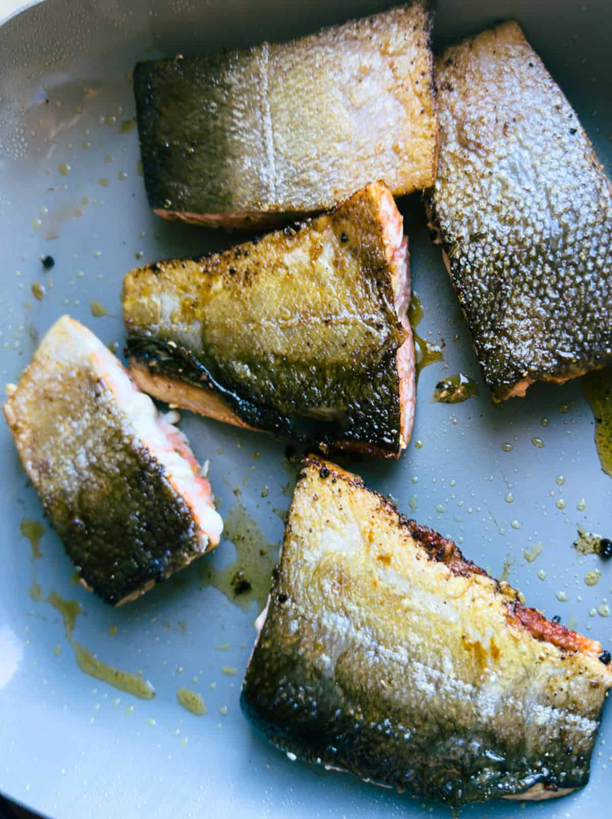 a grey skillet with avocado oil in it and several salmon pieces face down and skin up with crispy skin