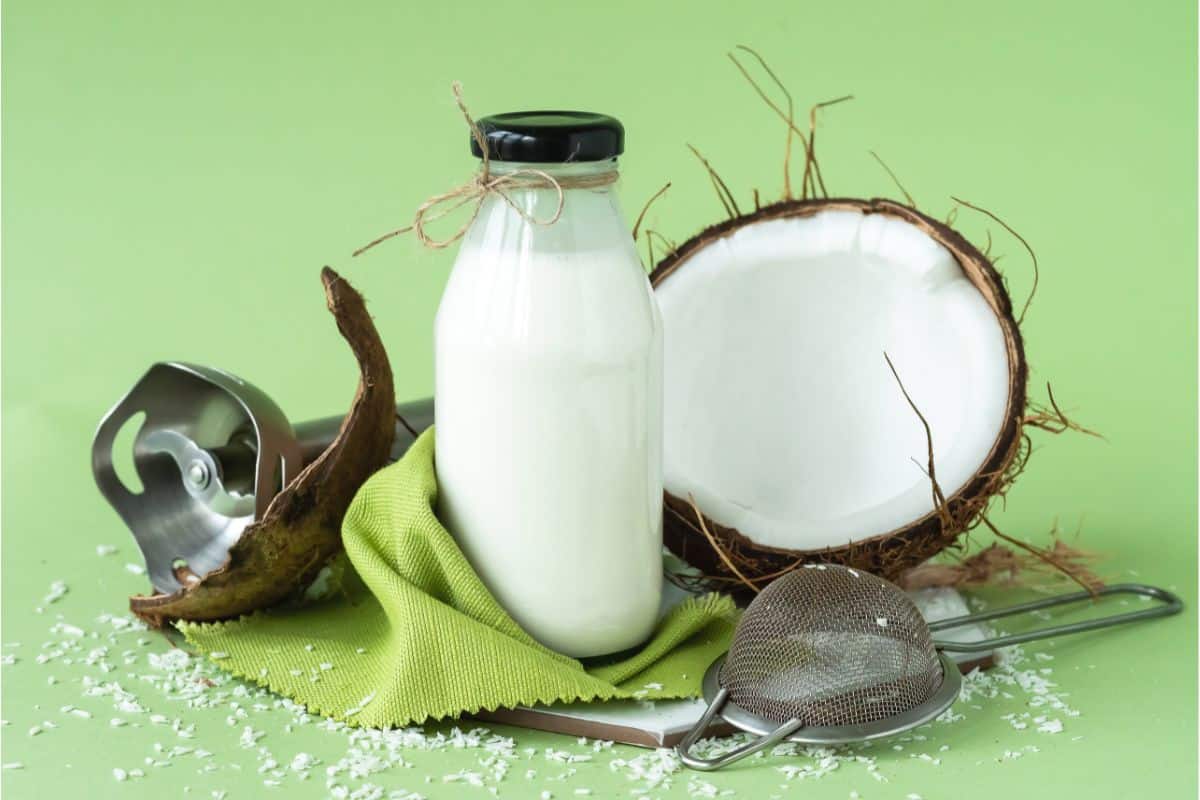 a lime green background with a darker time cloth, a jar of milk, a half a coconut and its shell next to a coconut cracking device and a mesh strainer equipment perfect for making coconut milk at home