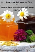 A close-up photo of two octagon shaped glass jars with a light-colored honey in one and a dark-colored honey in the other. They represent manuka honey and buckwheat honey. There is a white daisy placed in each jar and a purple and pink carnation and two more daisies placed surrounding the honey jars decoratively with bee pollen pellets in front of them. In black print at the top reads: Antibacterial benefits of Manuka and Buckwheat Honey. At the bottom reads MindfullyHealthyLiving.com. The photo is zoomed in to fit the Pinterest recommended format