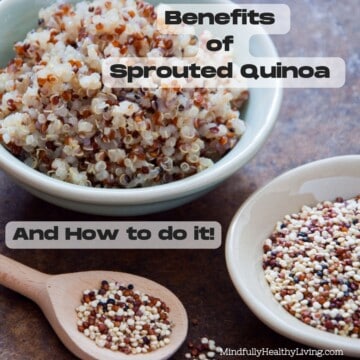 Tri-colored quinoa offset in the front in a bowl next to a wooden spoon with quinoa in it also. A bowl of sprouted quinoa is in the upper back of the photo depicting the difference between sprouted vs dry quinoa.Black font with a white background that is slightly transparent reads "Benefits of Sprouted Quinoa And How to Do It!" At the bottom left with white lettering reads "MindfullyHealthyLiving.com"