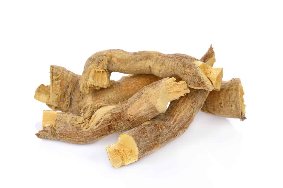 A white background with lightly twisted and dried pieces of a tree root. The tongkat ali root has been cut and dried and is ready to be processed.