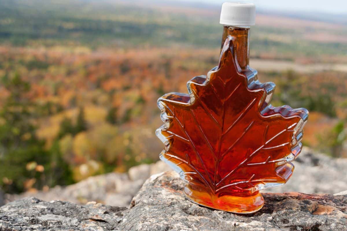 A maple leaf-shaped glass bottle with medium amber-colored syrup in it. The bottle is sitting on a rock cliff overlooking a blurry background of maple tree groves.