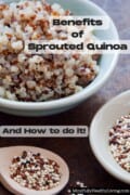 A pinterest photo with tri-colored quinoa offset in the front in a bowl next to a wooden spoon with quinoa in it also. A bowl of sprouted quinoa is in the upper back of the photo depicting the difference between sprouted vs dry quinoa.Black font with a white background that is slightly transparent reads "Benefits of Sprouted Quinoa And How to Do It!" At the bottom with white lettering and black background reads "MindfullyHealthyLiving.com"