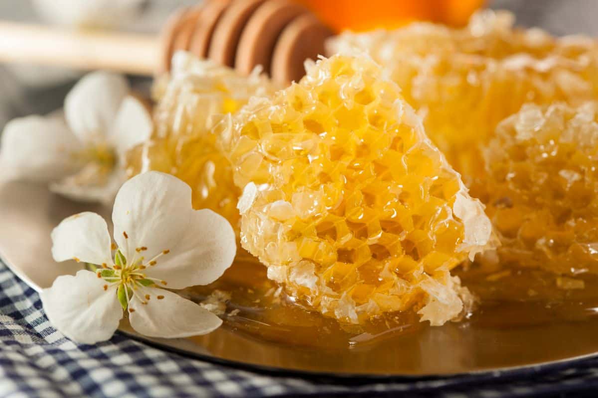 A close up of a light-colored raw honey comb pieces next to a white flower and blurred honey stick in the background
