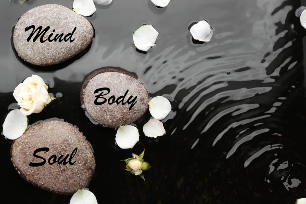 A dark lake water with 3 smooth stones that each read Mind Body and Soul. Around the rocks are flower petals and ripples in the water.