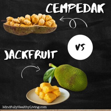A black background with write writing that says cempedak vs jackfruit mindfullyhealthyliving.com. Next to the word cempedak is a photo of a cut open cempedak fruit and a white arrow pointing to it. Next to the word jackfruit is a photo of a whole jackfruit next to a plate of yellow jackfruit chunks and an arrow pointing to it.