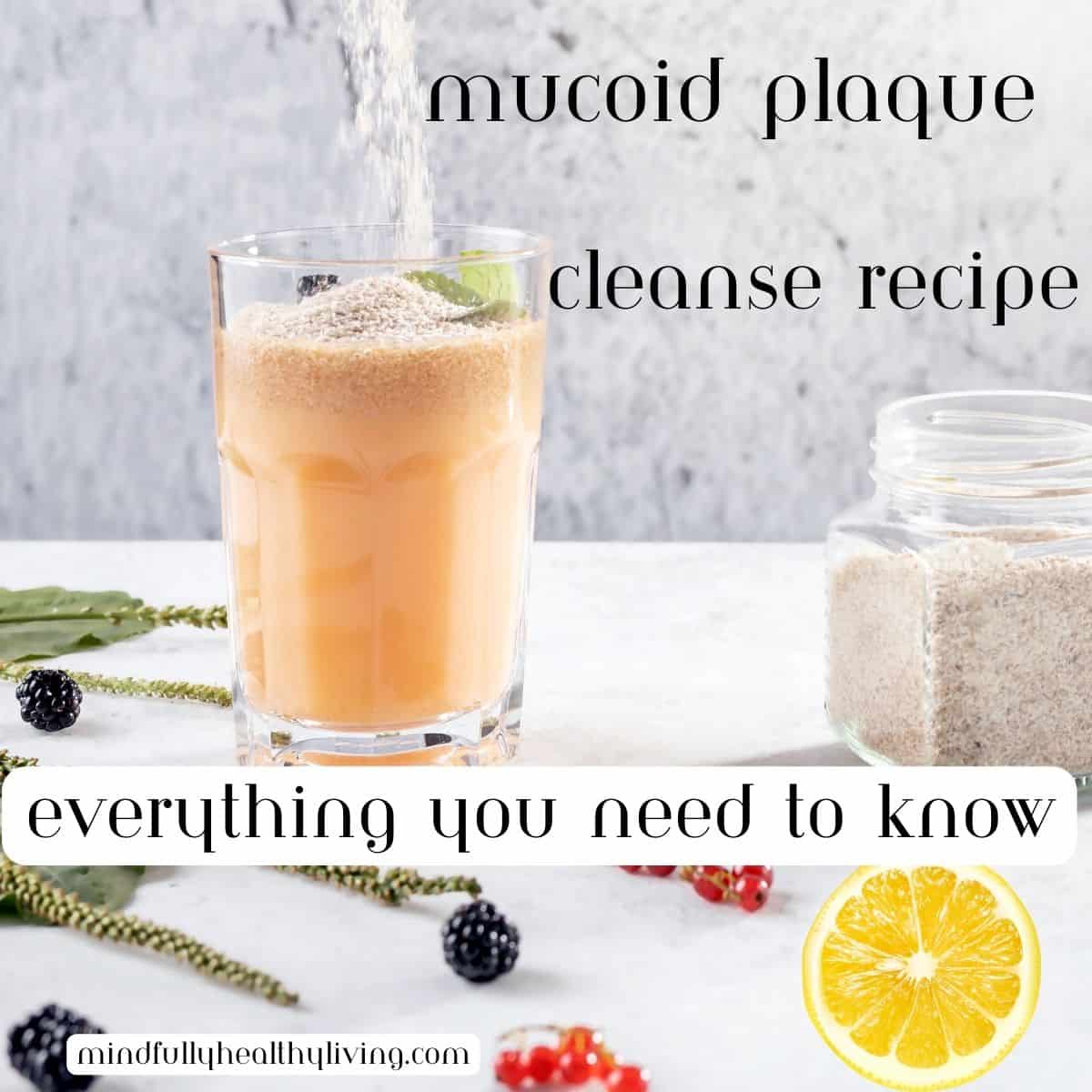 A decorative photo of a clear glass with bentonite clay, lemon juice, and psyllium husk mixed with water surrounded by berries and sitting next to a jar of psyllium husk powder and a cut lemon. On top of the photo is a text overlay saying mucoid plaque cleanse recipe everything you need to know mindfullyhealthyliving.com