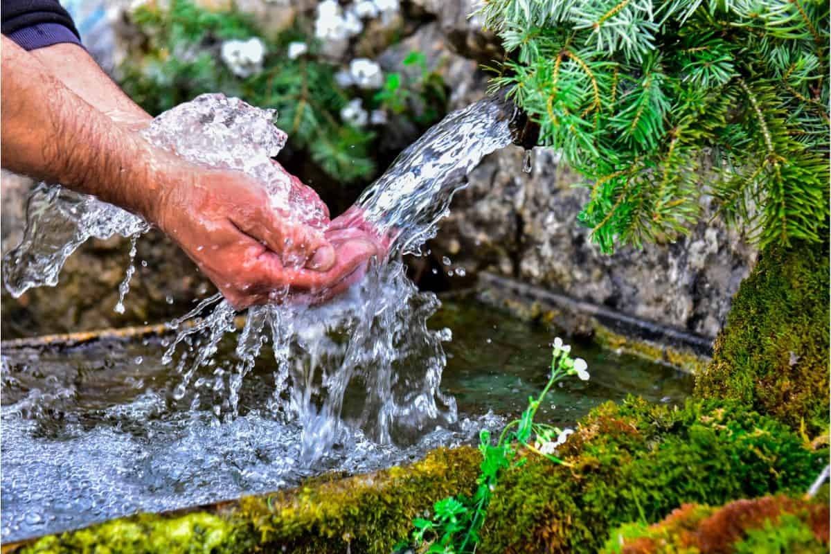 A photo of a natural spring watering hole flowing into a pool of water and a mans hands catching the water in a cupped position.