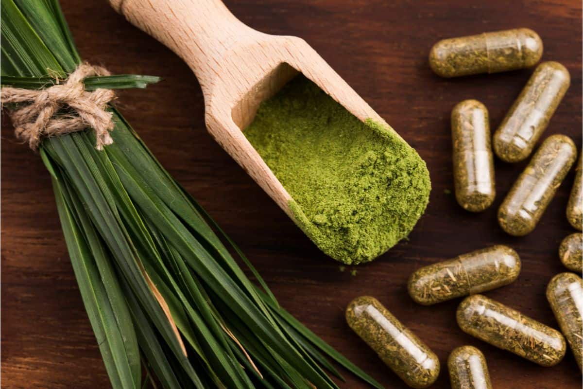 An up close photo of a bunch of barley grass leaves next to grassy containing capsules and a bright green wheatgrass powder representing the multiple ways to supplement wheatgrass and barley grass.