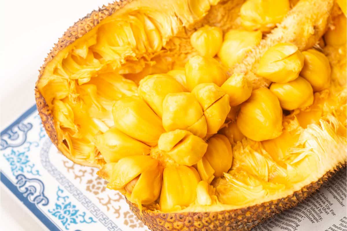 Close up of a cut open spiky cempedak fruit revealing the bright yellow bulbous fruit on the inside.