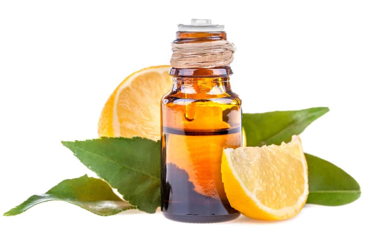 a small dark essential oils container with no lid and half full of lemon oil srruounded by green leaves and lemon wedges