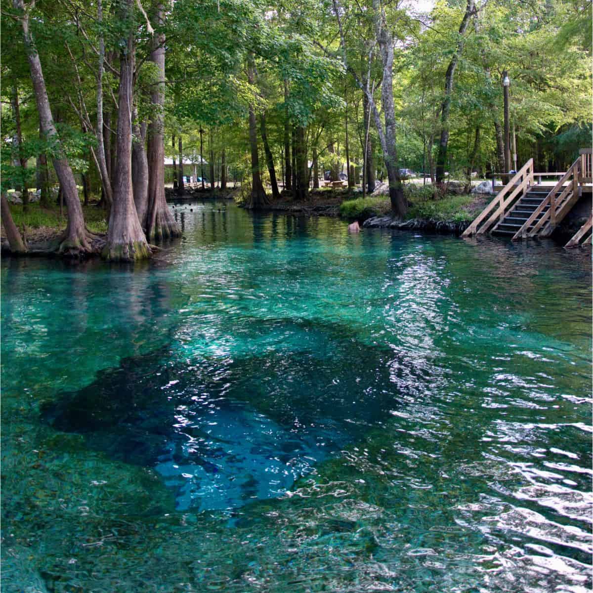 A beautiful photo of pristine blue green waters of a natural spring in florida. You can see several people in the distance wading in the healing waters.