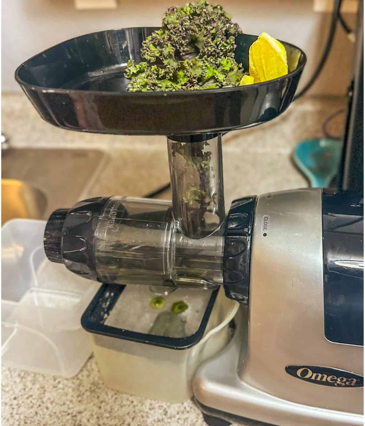 A photo of a silver and black omega juicer with kale being fed through the tube and lemon slices waiting next to it.
