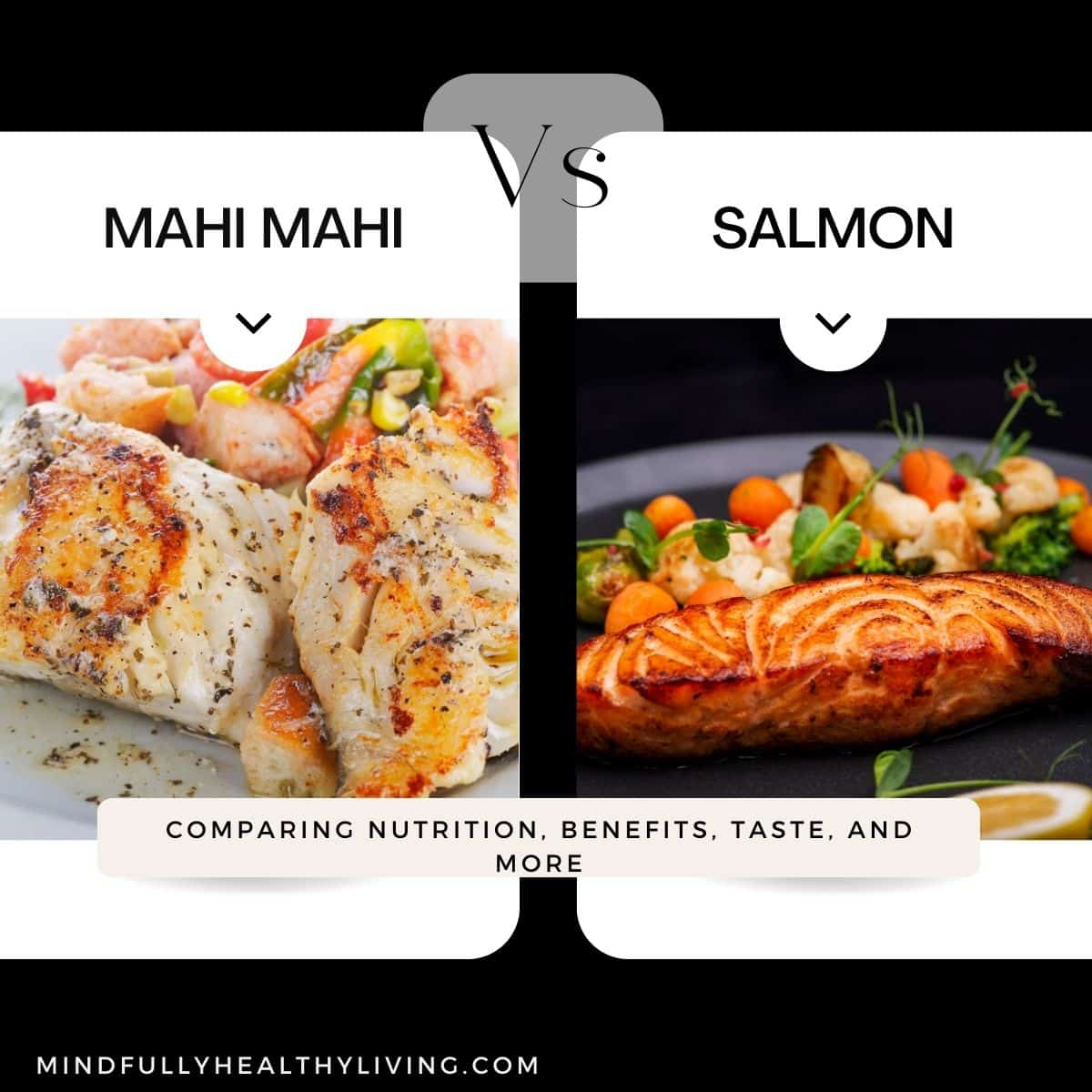 The main photo for this article has a black background and rounded white squares with photos in them and text overlay. The photos have a piece of cooked Mahi Mahi and salmon, one in each square, respectively. The text overlay says Mahi Mahi vs Salmon: Comparing nutrition, benefits, taste, and more. mindfullyhealthyliving.com