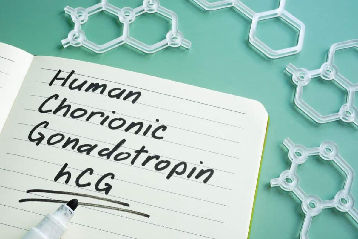 A lined paper with a marker that wrote human chorionic gonadotropin hCG. around the book are pierces of silicone in the shape of chemistry molecules.