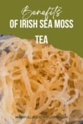 Yellow Sea moss with a picture tear visual of a green backdrop at the top and text that says benefits of Irish sea moss tea mindfullyhealthyliving.com