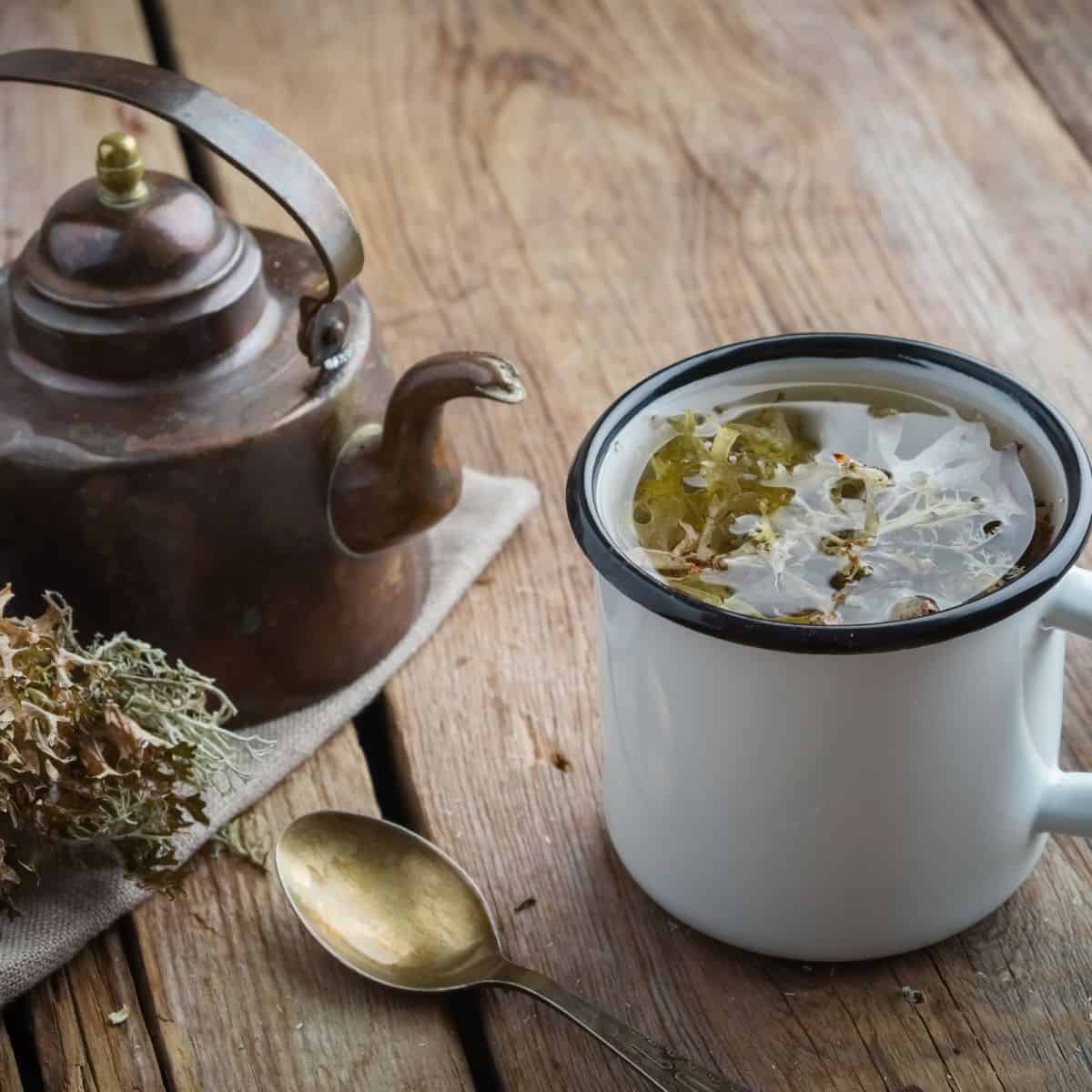 A photo of irish sea moss steeping in water in a mug next to a gold spoon and bronze tea kettle.