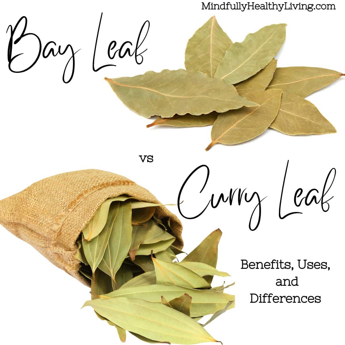 A photo of a pile of dried bay leaves and a satchel of dried curry leaves with text overlay that says Bay leaf vs curry leaf benefits, uses, and differences mindfullyhealthyliving.com