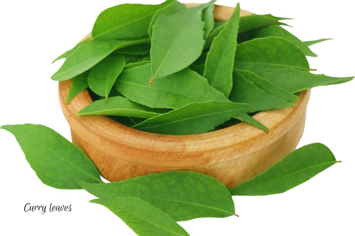 A bowl of bright green fresh curry leaves in a bowl.