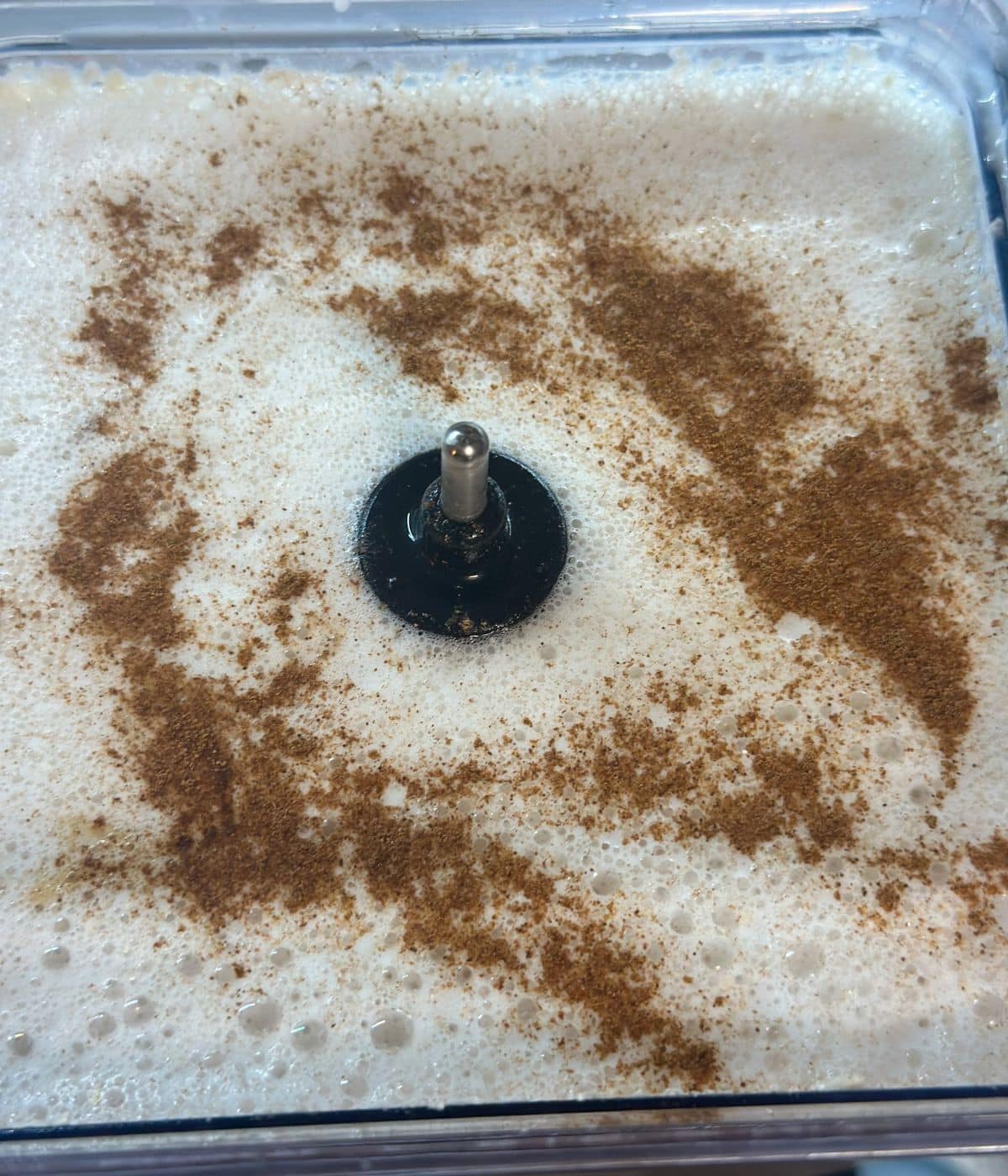 A close-up of Cashew milk in the blender with the top view and cinnamon has been sprinkled on top and milk bubbles are also visible.