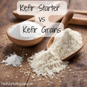 A wooden bowl of freeze-dried kefir starter powder next to a bowl of kefir starter grains and text overlay that says kefir starter vs kefir grains mindfullyhealthyliving.com