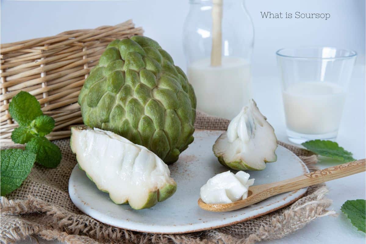 A large ripe soursop with a few slices cut on a plate and in a spoon next to a cup and a carafe of soursop juice that looks quite milky, similar to the flesh of the soursop. The exterior of the fruit is a ridged green color and texture that is reminiscent of how dinosaur's skin is commonly portrayed.