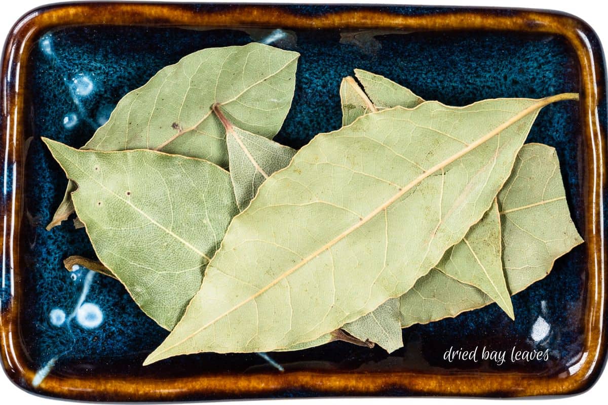 Dried bay leaves on a blue and brown ceramic plate.