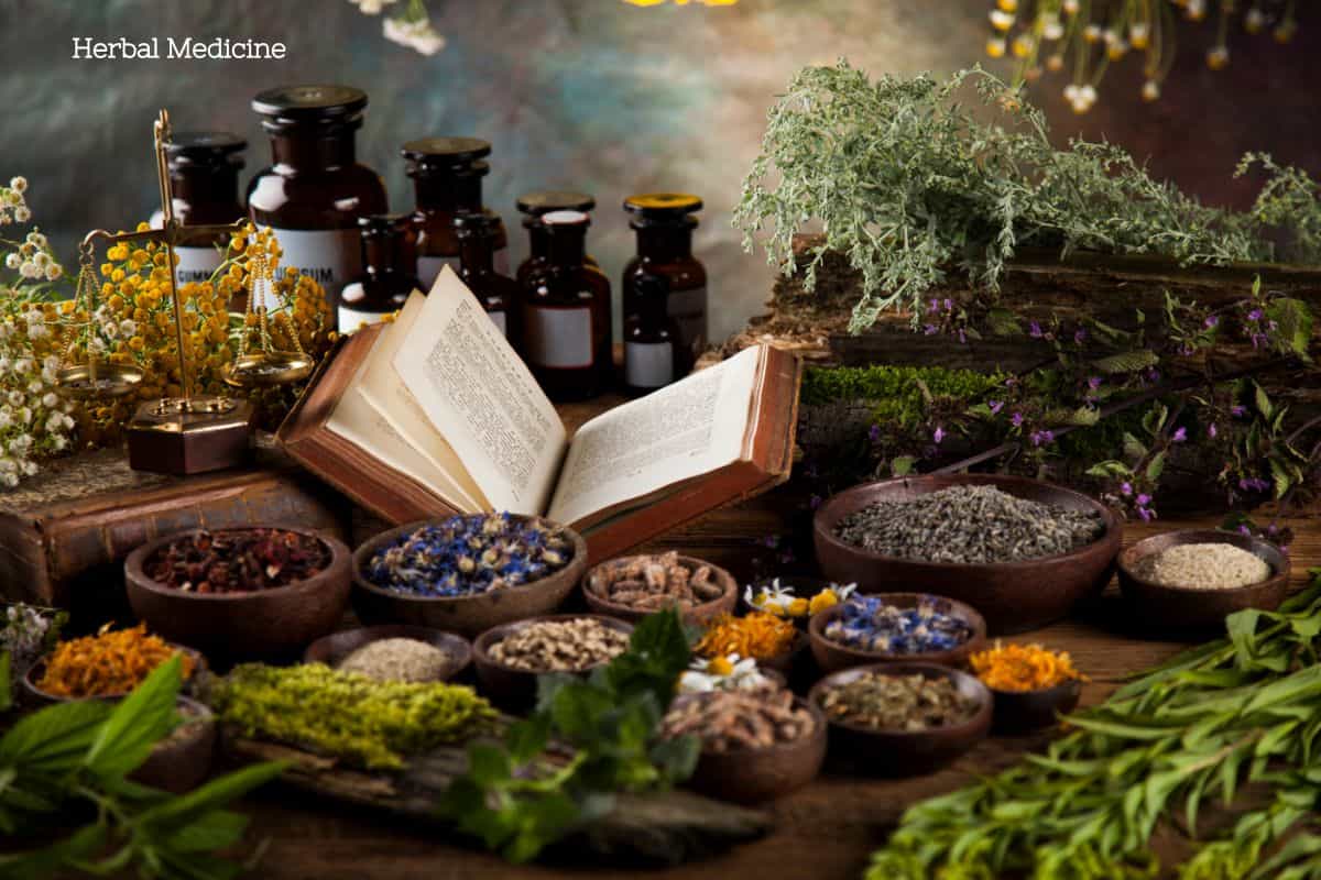 An open book surrounded by various bowls of different colored herbs and spices fresh herb sprigs and glass jars for herbal tinctures in the background.