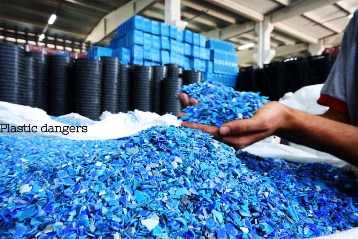 Hands sifting through shredded blue plastic fragments at a recycling facility, highlighting the dangers of plastic waste.