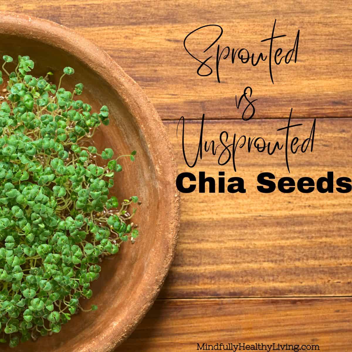 Creative presentation of sprouted and unsprouted chia seeds with informative text, ideal for a comparison pin.