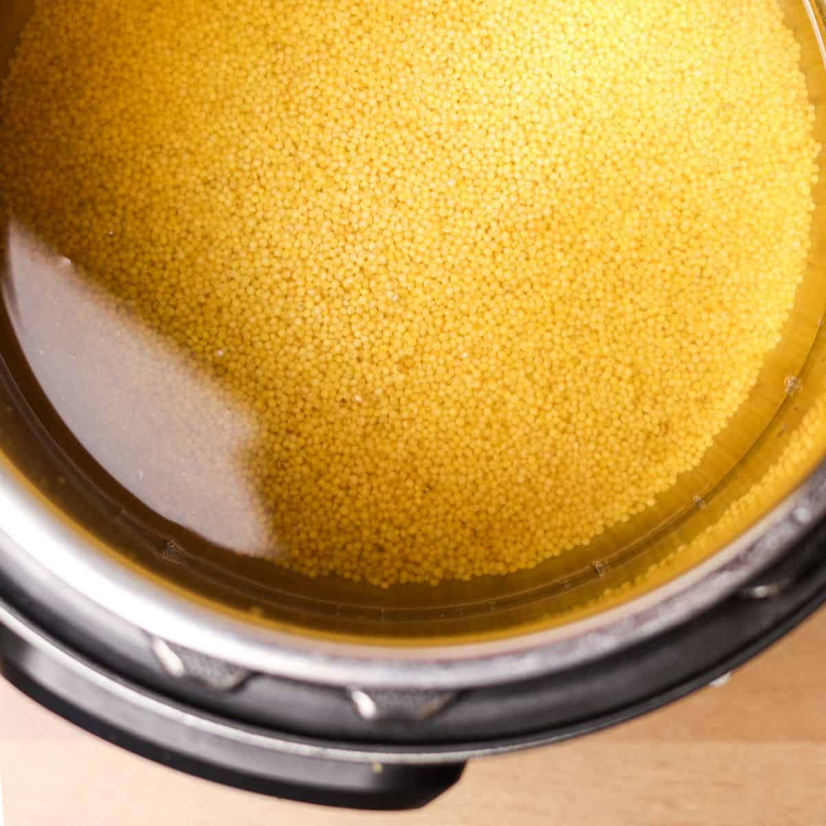 A view of an Instant Pot with dry yellow millet grains and clear water, prior to cooking.