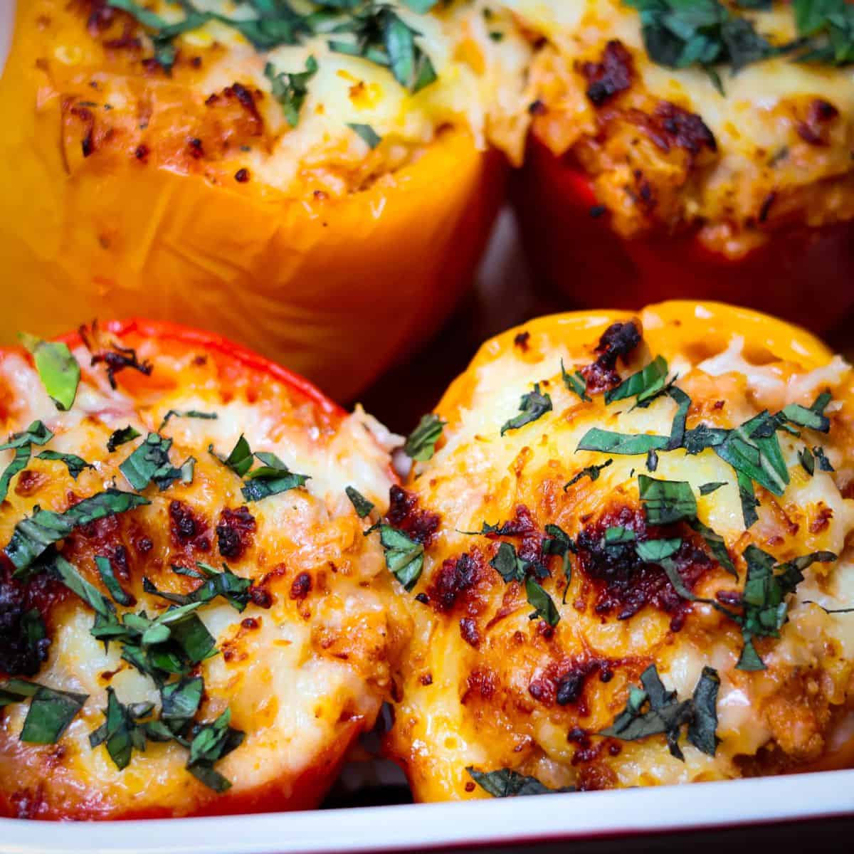 Freshly baked stuffed bell peppers in a casserole dish, cheese melted and slightly browned, garnishe