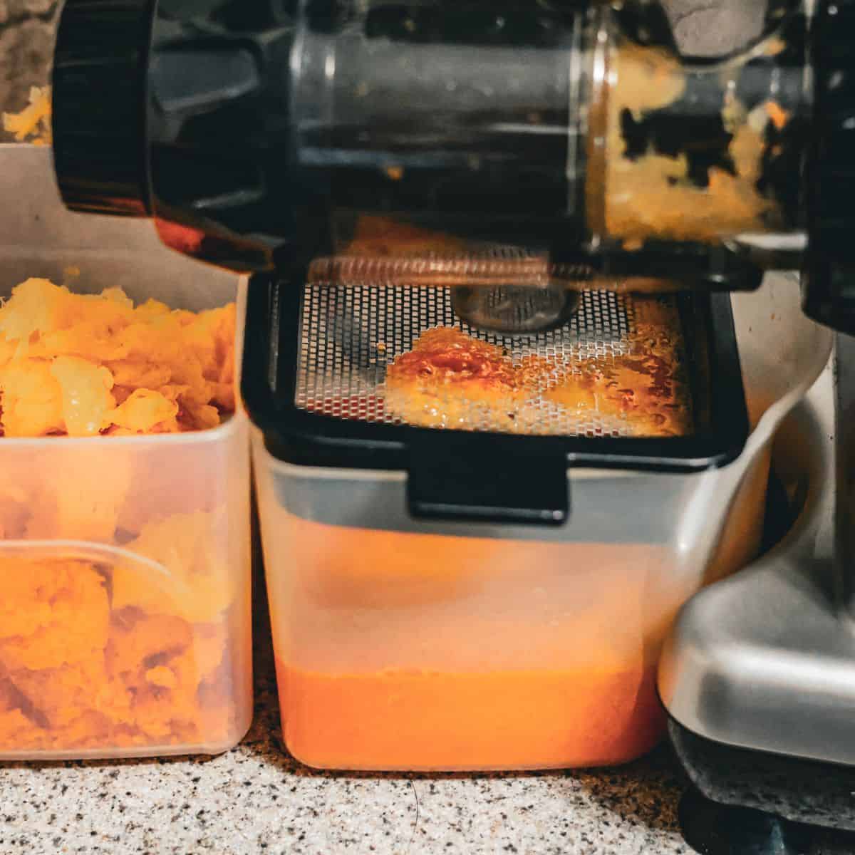 An electric juicer in the midst of extracting vibrant orange juice from fresh produce. The juiced fiber is being ejected into one compartment, while the silky, fresh juice is collected in a clear container below, ready for enjoyment.