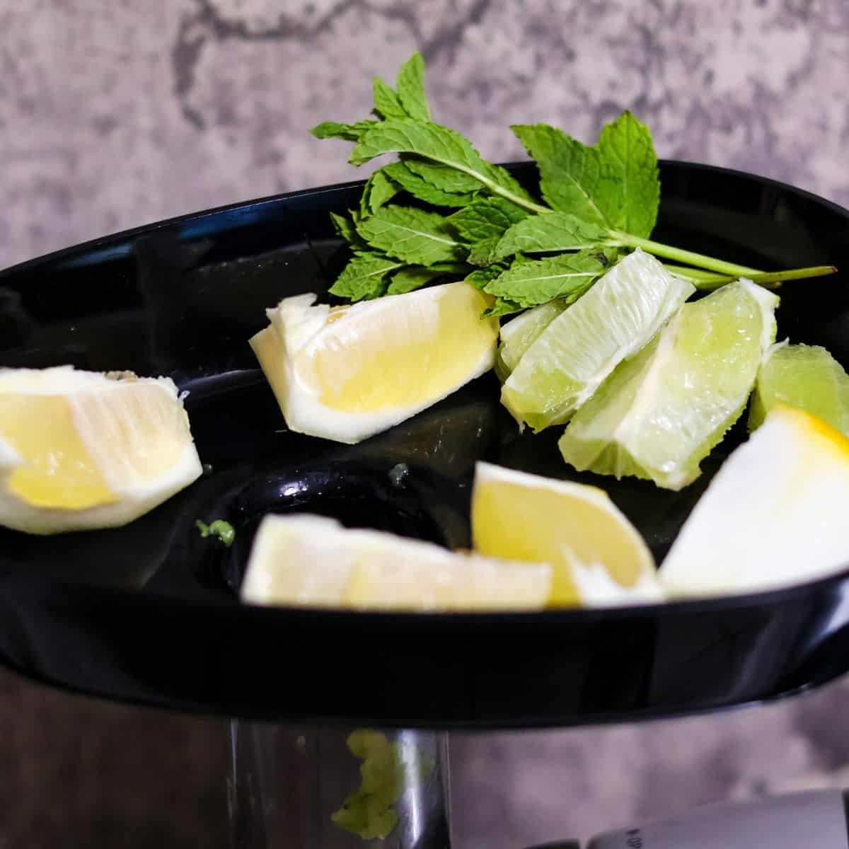 Lemon and lime wedges with fresh mint leaves in a juicer tray, ready for juicing.