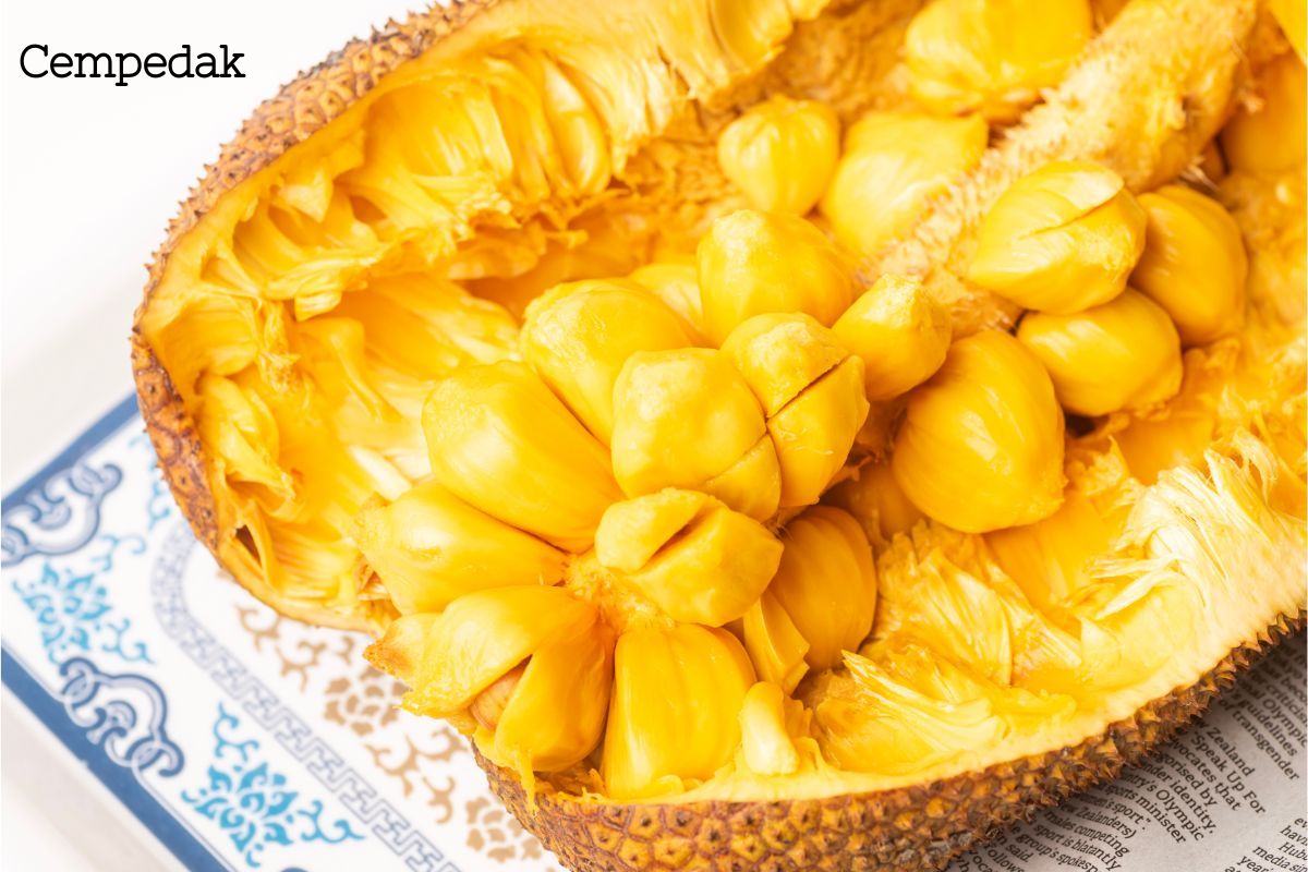 Cut open spiky cempedak fruit revealing the bright yellow bulbous fruit on the inside.