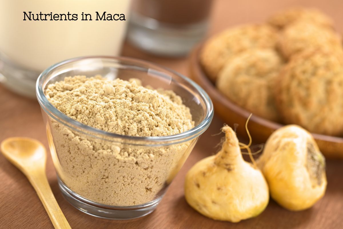 A clear ramekin on maca powder next to two yellow maca roots that look similar to turnips and a wooden spoon. In the blurred background is various baked goods that were made using the superfood powder.
