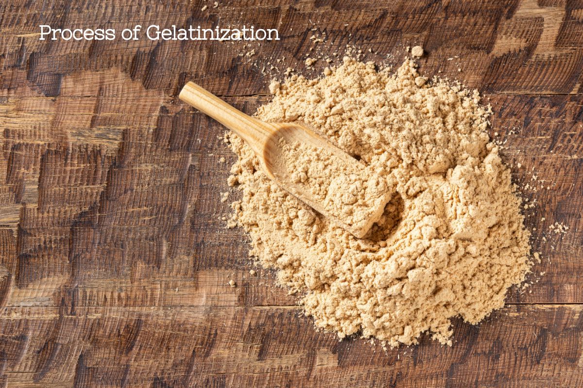 Tan yellow gelatinized maca root powder with a light wooden scoop in it on a dark wooden background.