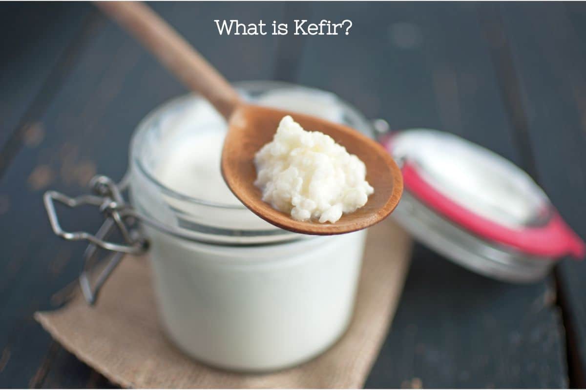 A jar of kefir with a spoon of kefir grains.