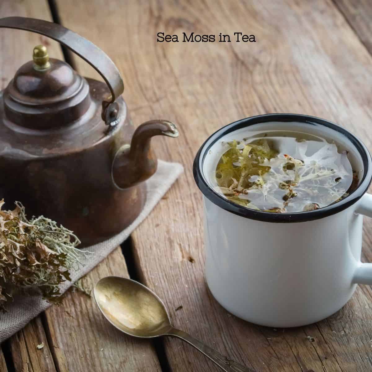 Irish sea moss steeping in water in a mug next to a gold spoon and bronze tea kettle.