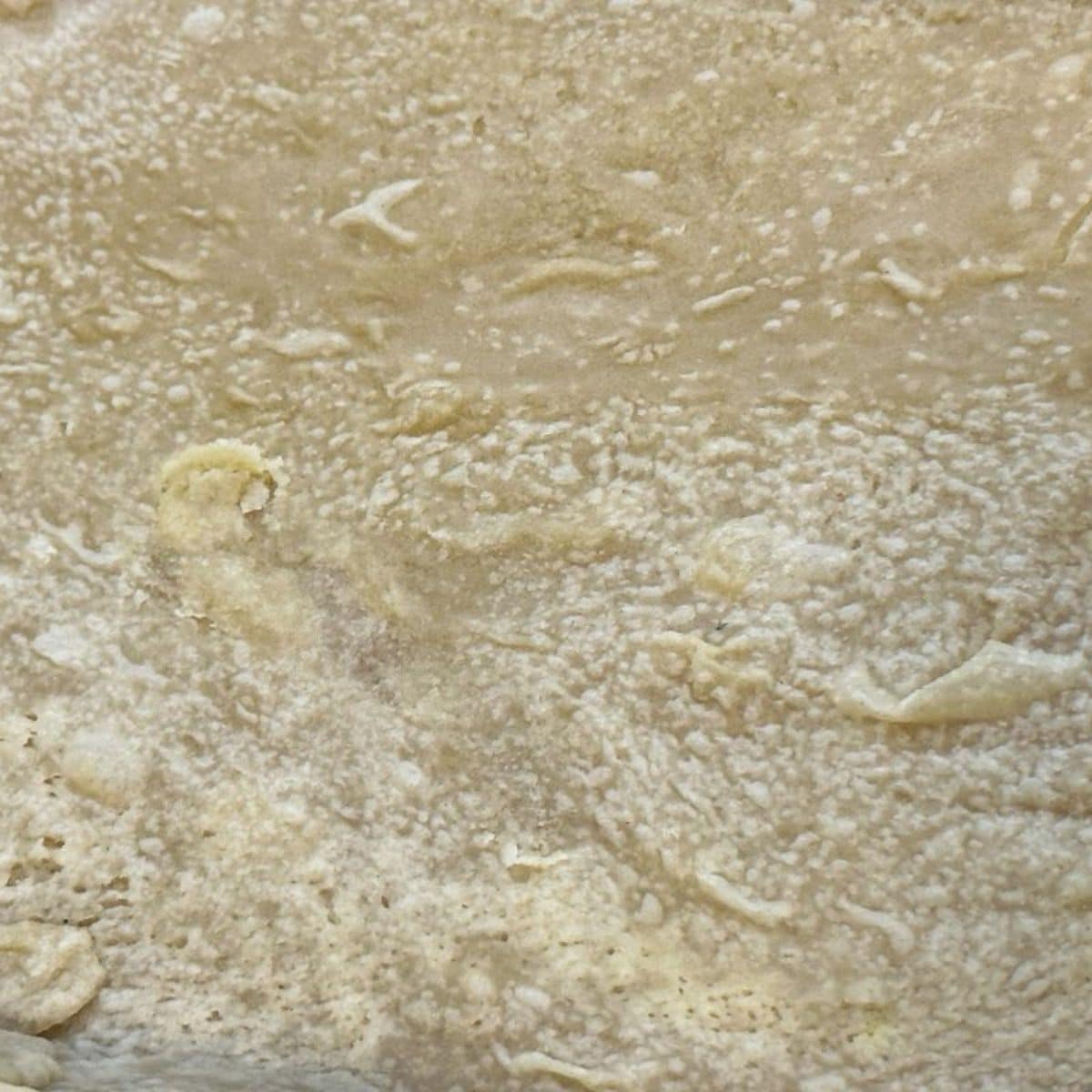 A lightly baked pie crust ready for filling.