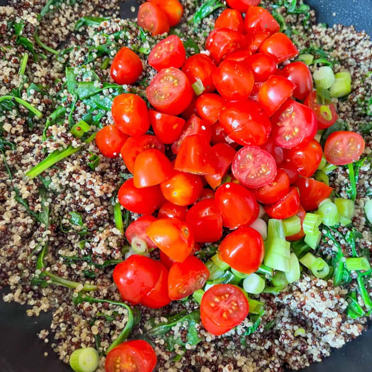 A black skillet with cooked tri color quinoa with cooked spinach, halved cherry tomatoes, and chopped green onions.